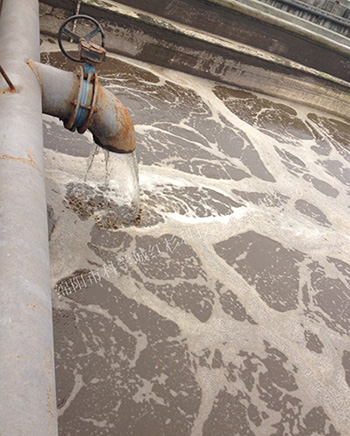 眉山市陽光紙業